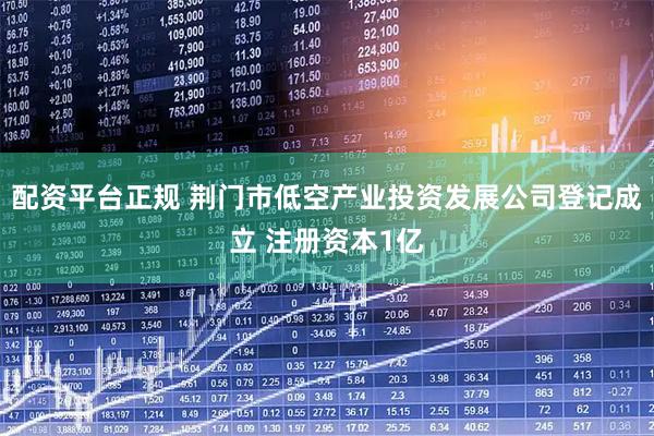 配资平台正规 荆门市低空产业投资发展公司登记成立 注册资本1亿