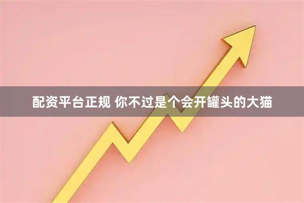 配资平台正规 你不过是个会开罐头的大猫