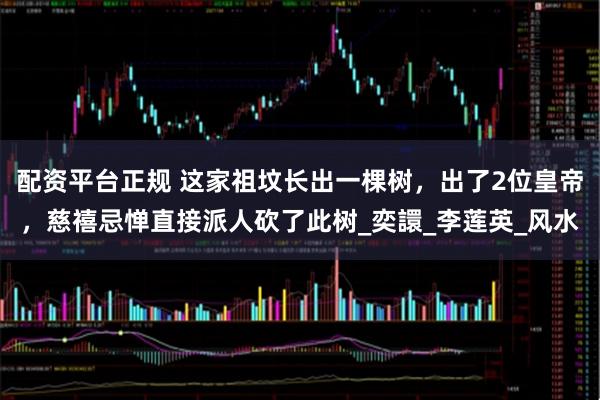 配资平台正规 这家祖坟长出一棵树，出了2位皇帝，慈禧忌惮直接派人砍了此树_奕譞_李莲英_风水